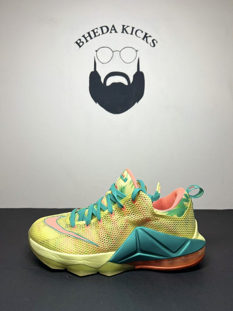 Nike LeBron 12 XII Low PRM LeBronald Palmer 805893-383 Size 9.5 Preowned Clean