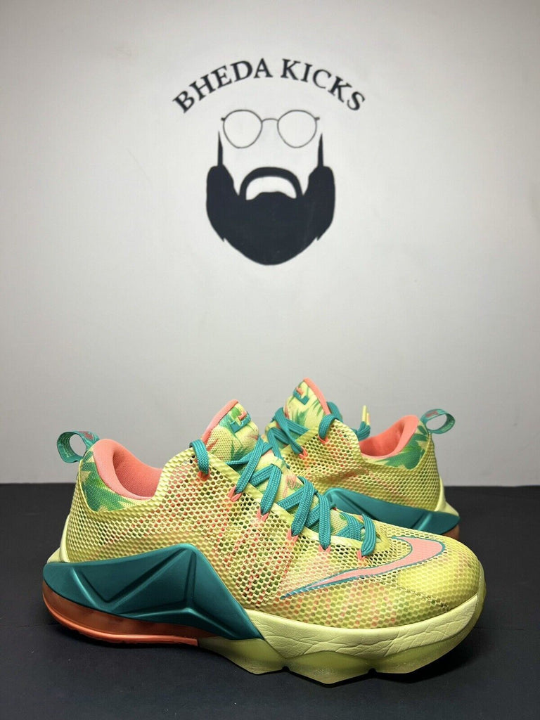 Nike LeBron 12 XII Low PRM LeBronald Palmer 805893-383 Size 9.5 Preowned Clean