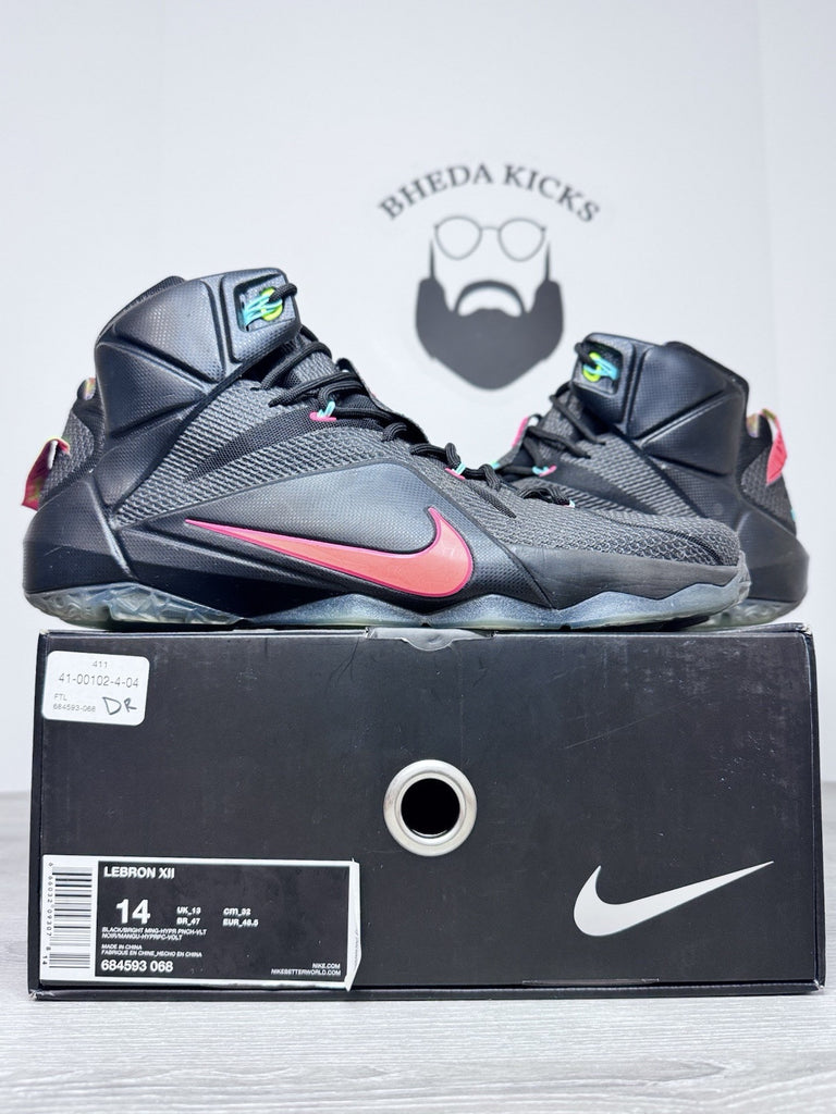 Size 14 - Nike LeBron 12 ‘Data’ (2014) 684593-068 Men’s Basketball Shoes