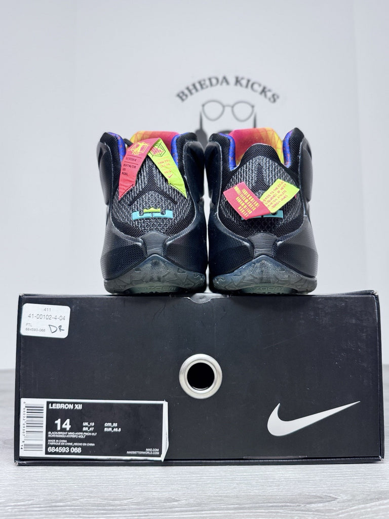 Size 14 - Nike LeBron 12 ‘Data’ (2014) 684593-068 Men’s Basketball Shoes